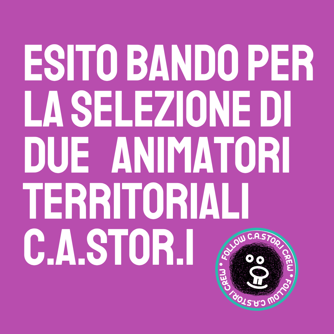 Esito selezioni per l'assegnazione di due borse di Animazione Territoriale | C.A.STOR.I