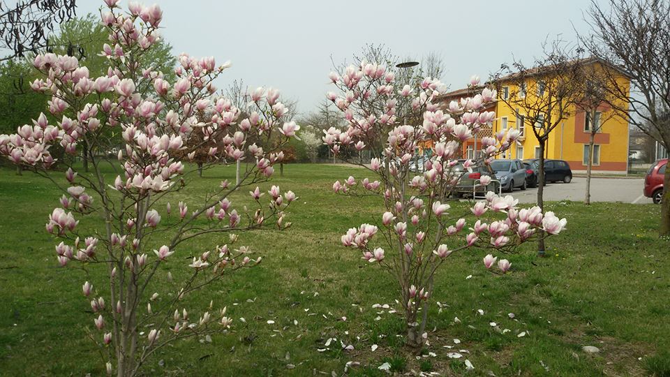 Casa Novarini da 10 anni un bene della comunità