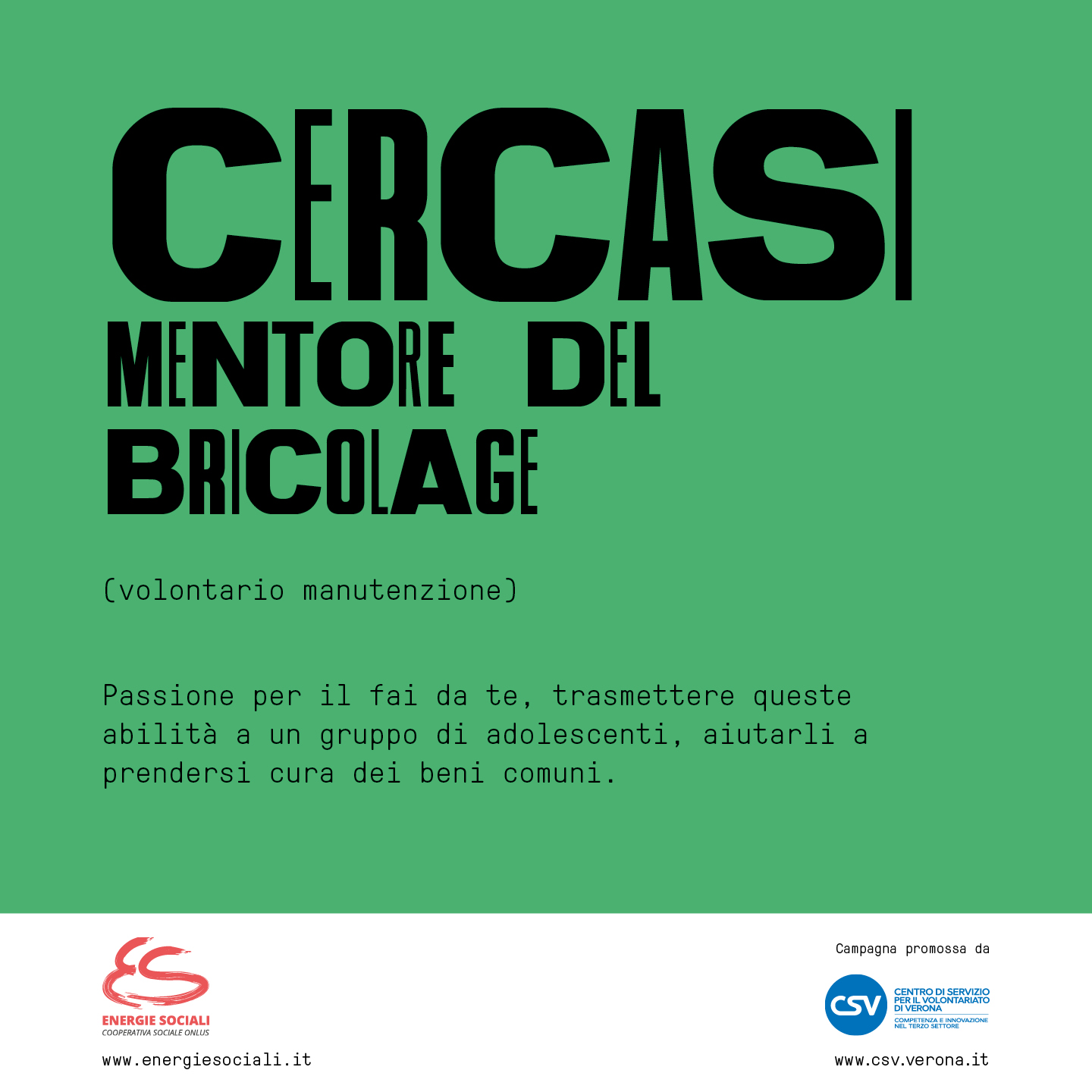 CERCASI UMANI: Mentore del Bricolage