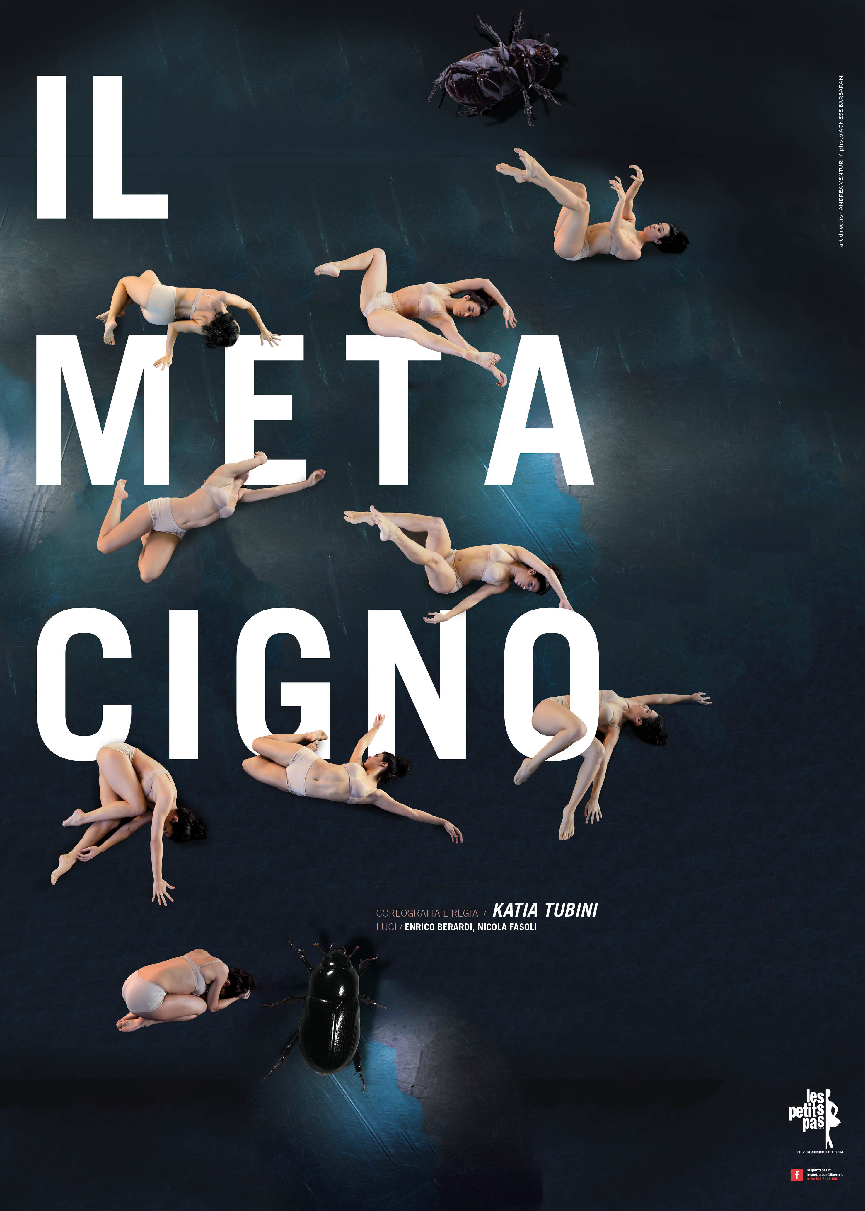 Danza e solidarietà: IL METACIGNO